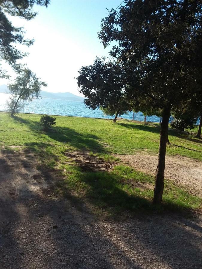 Ferienwohnung Jazine1 Zadar Exterior foto